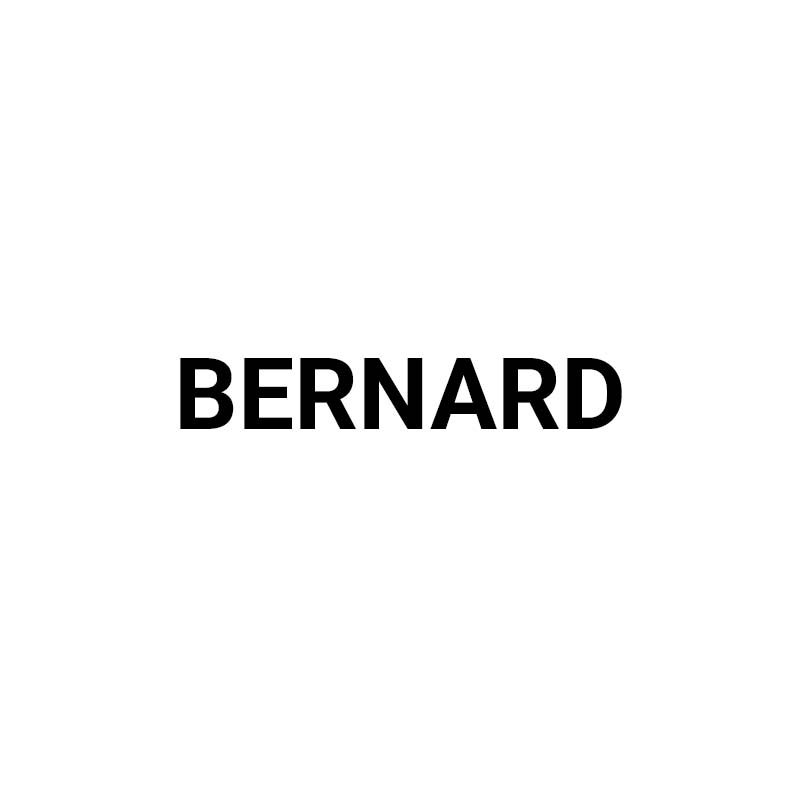 Логотип bernard