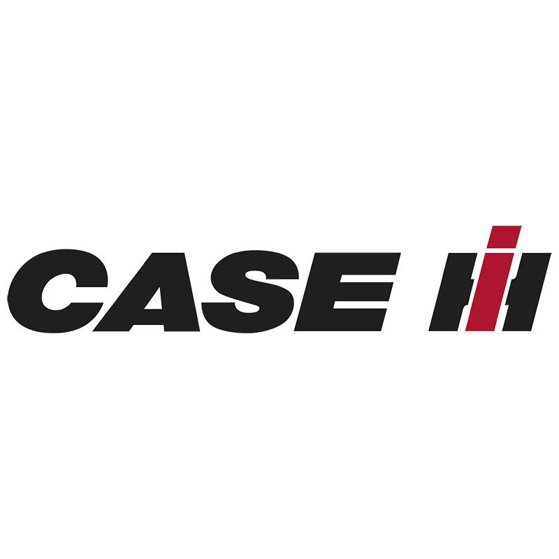 Логотип case