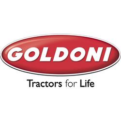 Логотип goldoni
