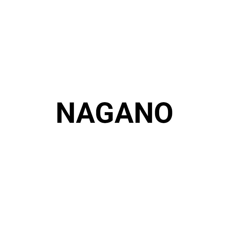 Логотип nagano