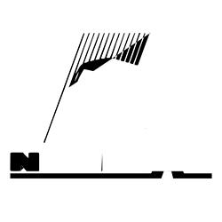 Логотип neoplan