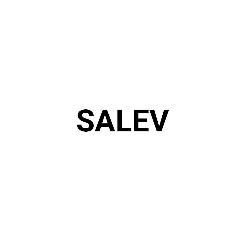 Логотип salev