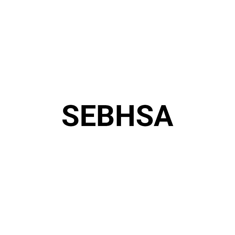 Логотип sebhsa