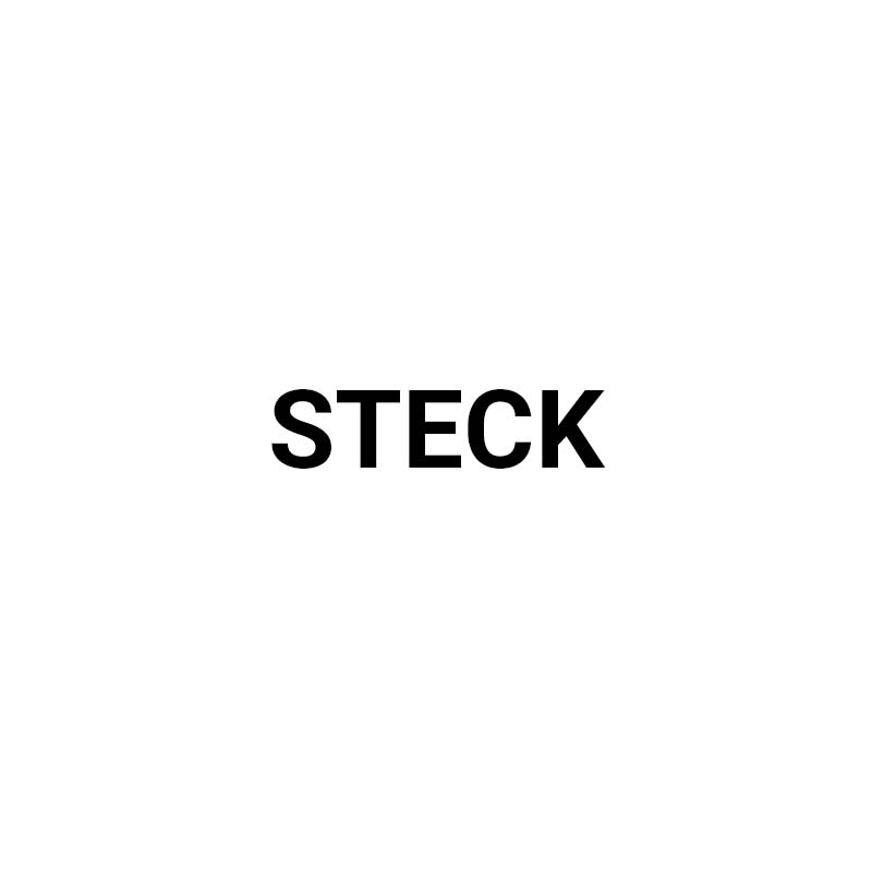Логотип steck