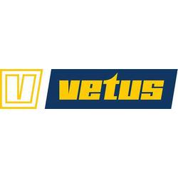 Логотип vetus