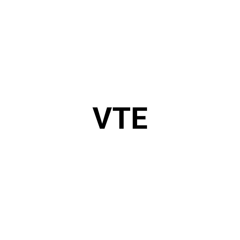 Логотип vte